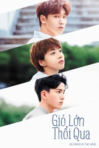 Gió Lớn Thổi Qua (Blowing in the Wind) [2019]