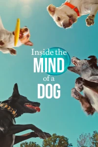 Những chú chó nghĩ gì (Inside the Mind of a Dog) [2024]